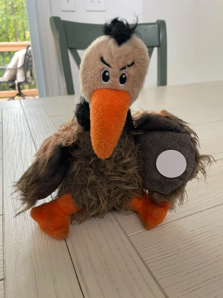 The plushie sitting on a table, its tap tag visible on one wing.